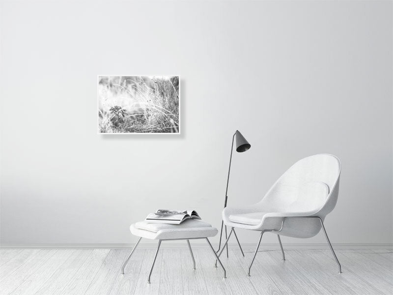 Last leaves frozen on cold morning in a late autumn. Print or framed art photography.