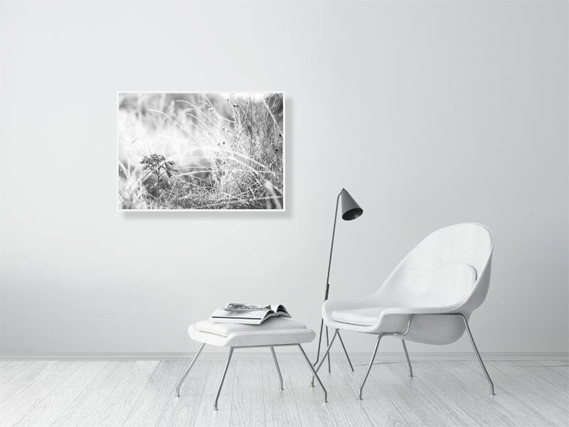 Last leaves frozen on cold morning in a late autumn. Print or framed art photography.