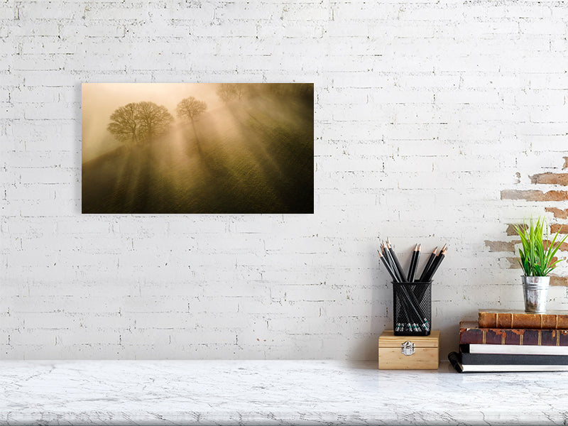 Sun beams through the morning mist in spring on a farm. Print or framed photography art.