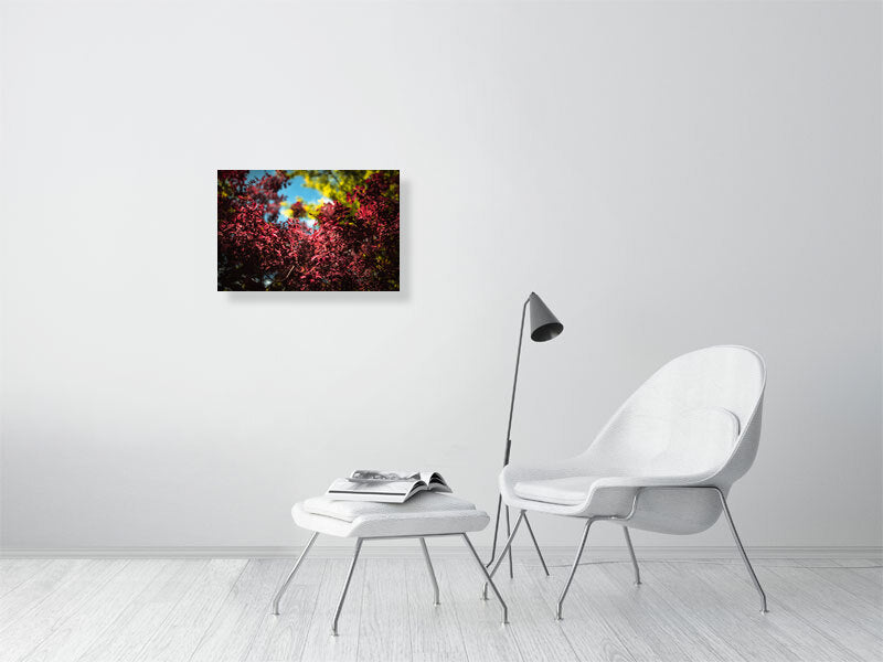 Colourful leaves in a park on a sunny day in early spring. Print or framed photography art. Brighton, UK
