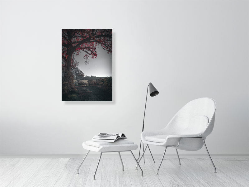 Red leaves falling off the tree on a first frost bite on a farm. Print or framed photography art.
