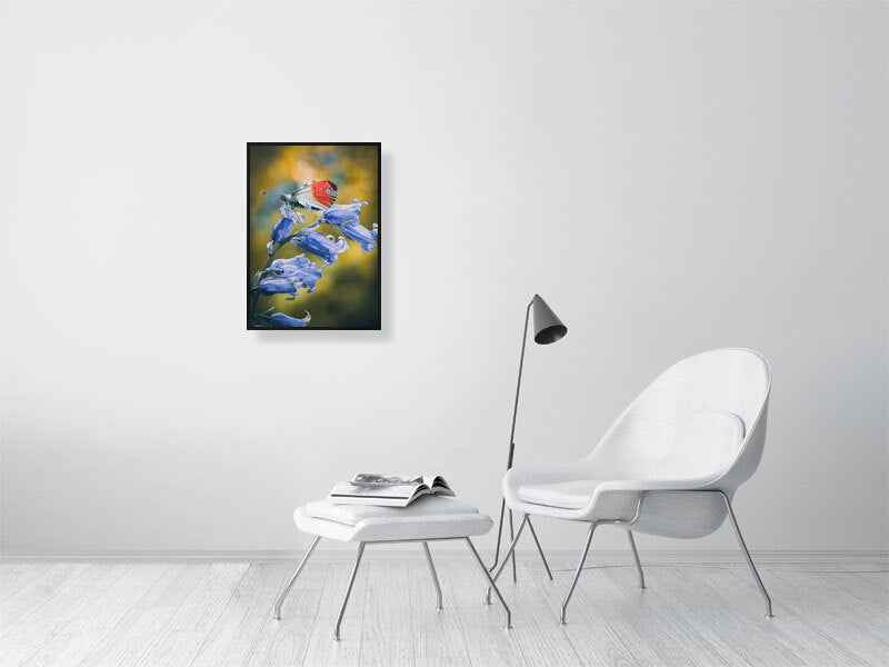 Butterfly resting on a bluebell in early spring, West Sussex, England. Print or framed photography art.