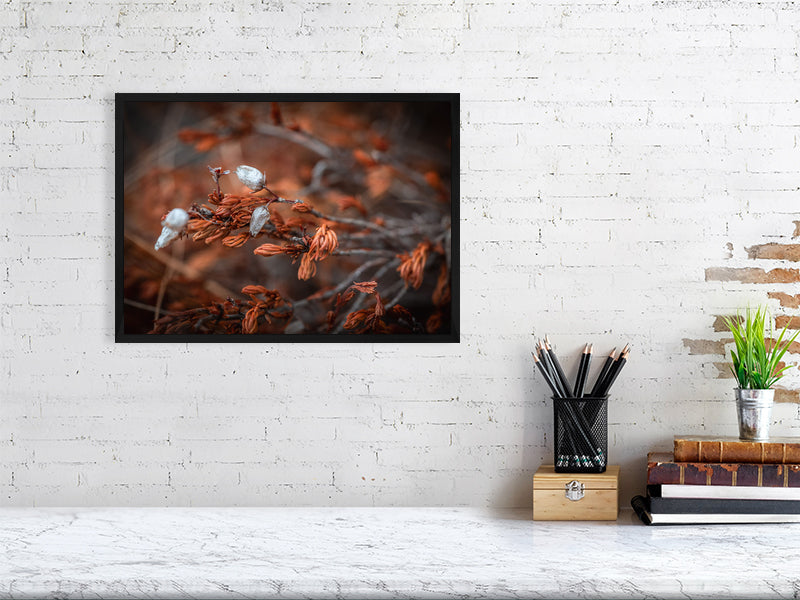 Dry heather flowers on top of the mountain closeup, macro. Printed or framed art photography.