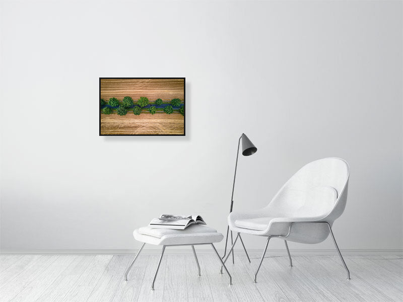 Country road covered by trees going through agricultural fields between Northleach and Yanworth in autumn colours. Print or framed photography art, wall decor.