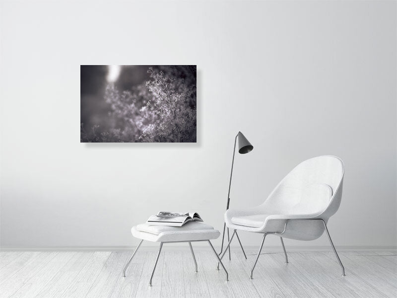 First frost on early winter on a farm. Print or framed photography art.
