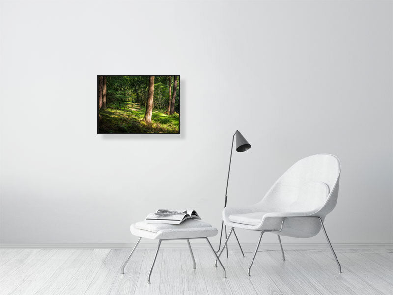 Gate to nowhere in deep forests of Peak District National Park on a sunny day. Print or framed art photography.