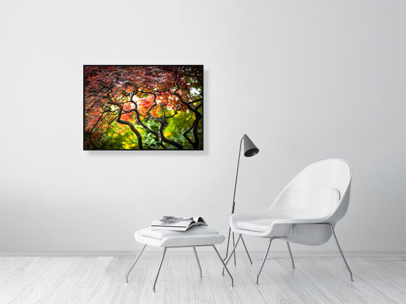 Colours of nature in early autumn. Printed of framed photography art.