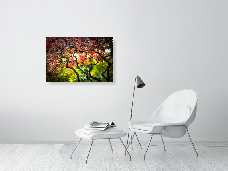Colours of nature in early autumn. Printed of framed photography art.