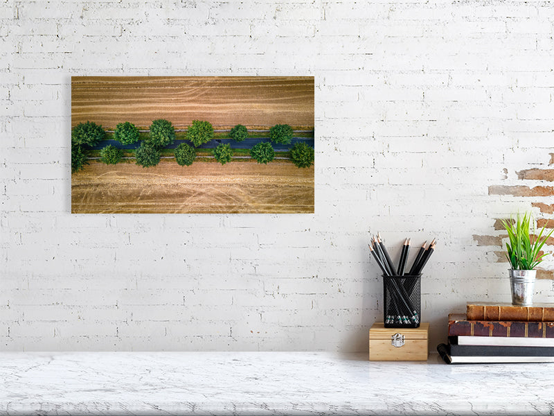 Country road covered by trees going through agricultural fields between Northleach and Yanworth in autumn colours. Print or framed photography art, wall decor.