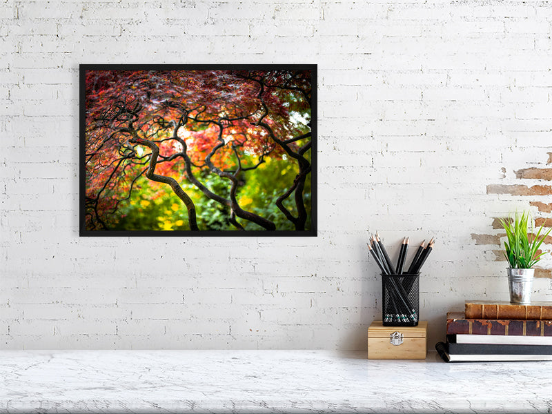 Colours of nature in early autumn. Printed of framed photography art.