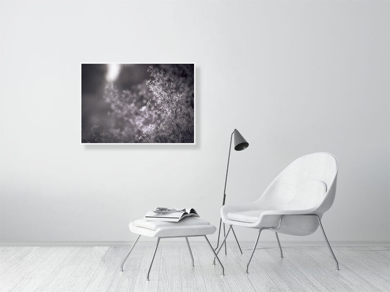 First frost on early winter on a farm. Print or framed photography art.