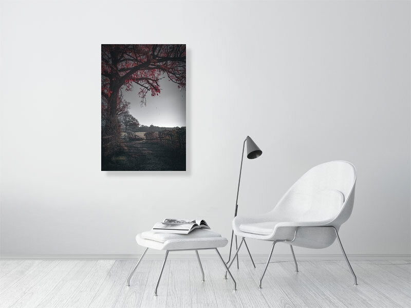 Red leaves falling off the tree on a first frost bite on a farm. Print or framed photography art.