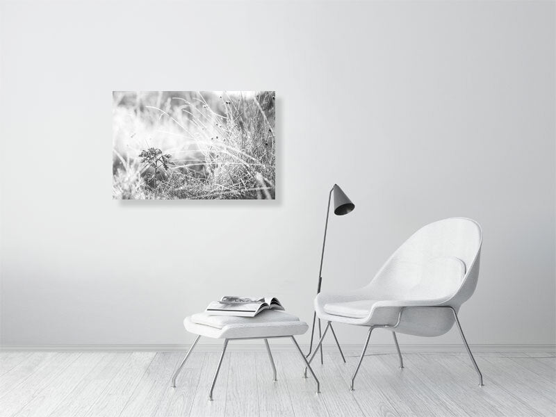 Last leaves frozen on cold morning in a late autumn. Print or framed art photography.