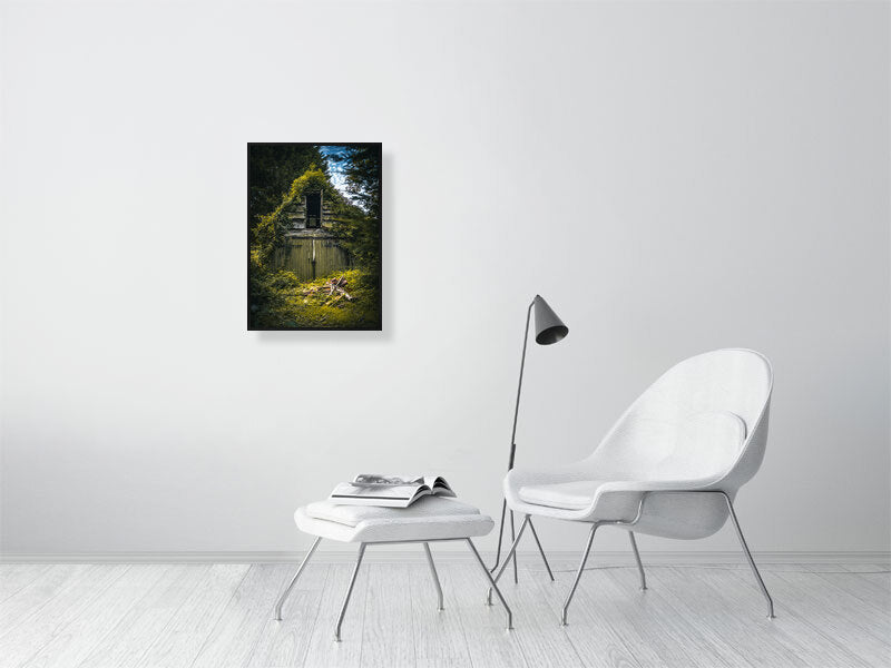 Abandon, overgrown barn in a forest. Print or framed photography art.