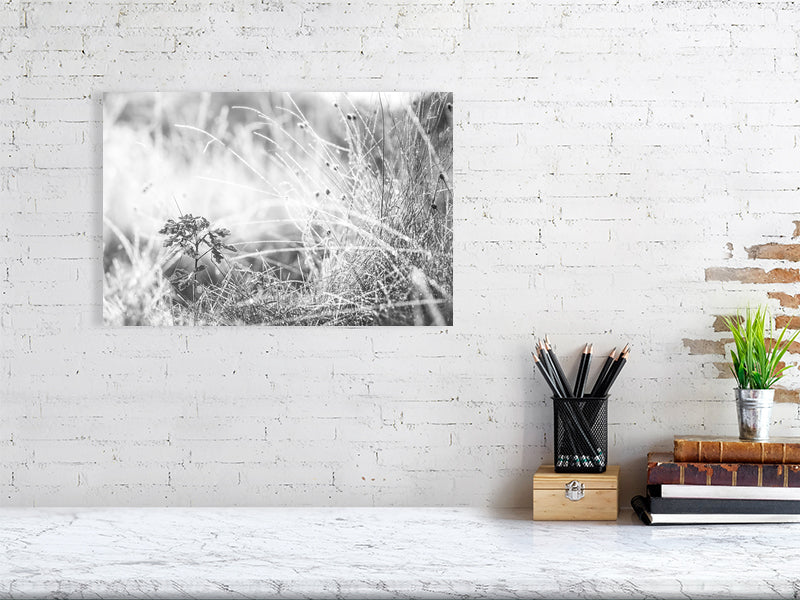 Last leaves frozen on cold morning in a late autumn. Print or framed art photography.