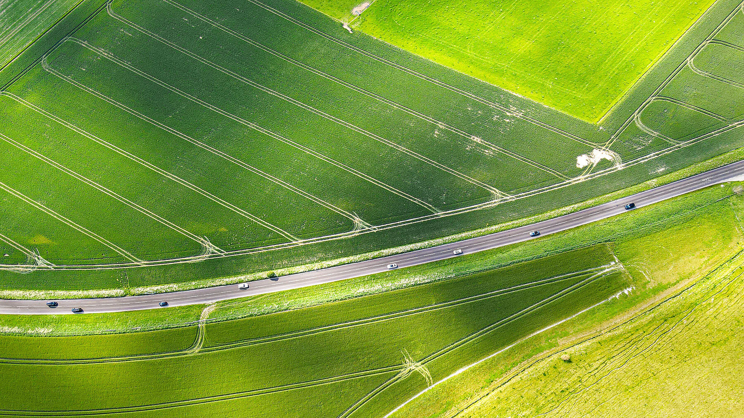 Green farm fields on a sunny day in early summer. Print or framed art photography.