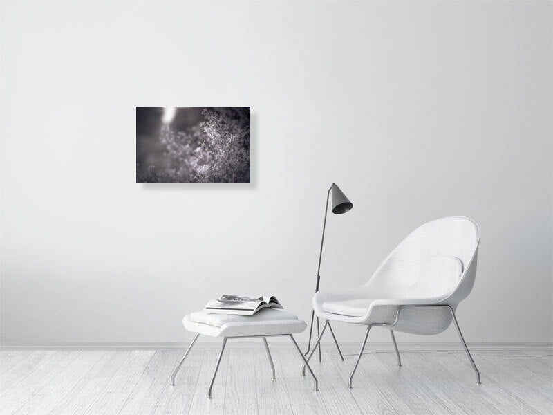 First frost on early winter on a farm. Print or framed photography art.
