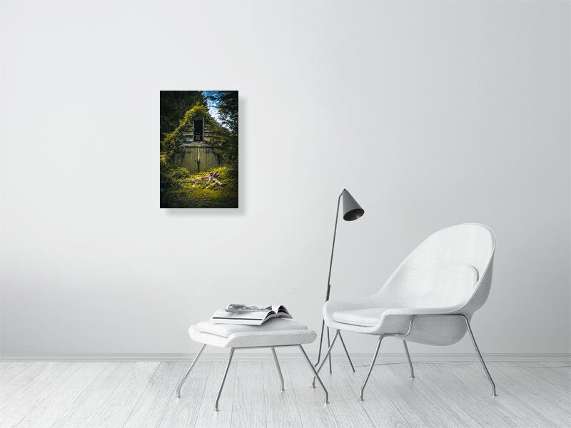 Abandon, overgrown barn in a forest. Print or framed photography art.