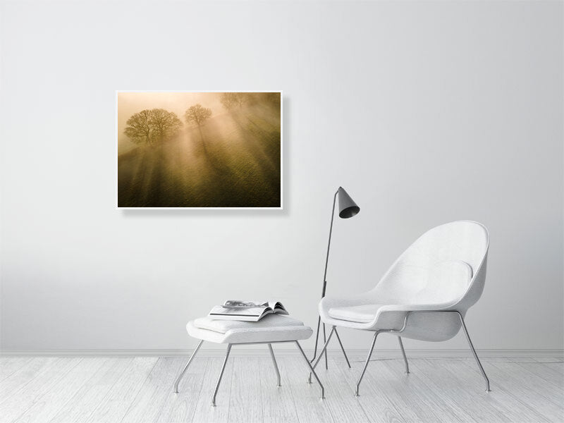 Sun beams through the morning mist in spring on a farm. Print or framed photography art.