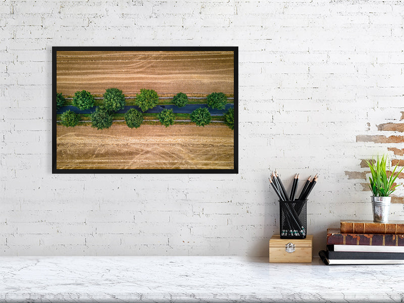 Country road covered by trees going through agricultural fields between Northleach and Yanworth in autumn colours. Print or framed photography art, wall decor.