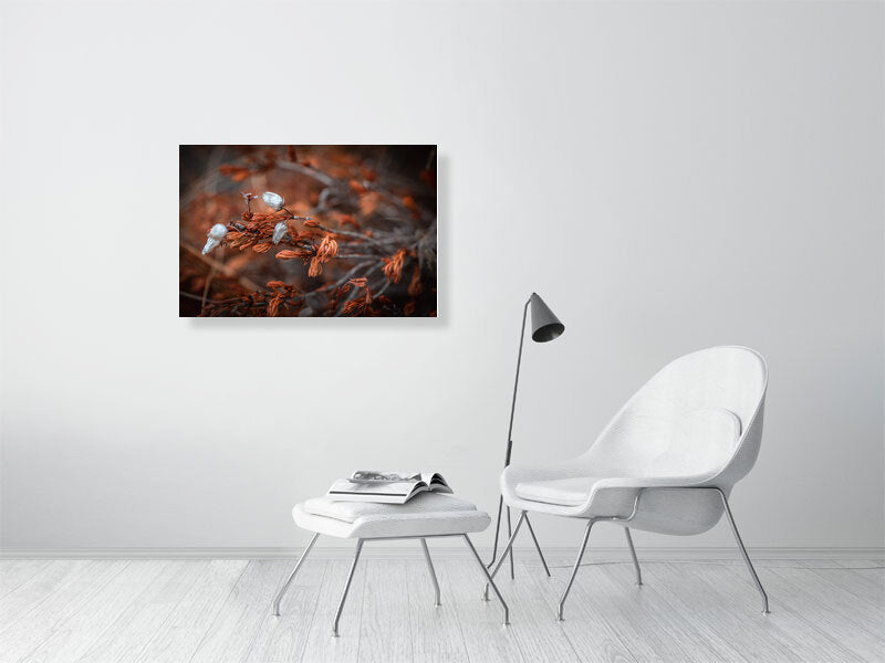 Dry heather flowers on top of the mountain closeup, macro. Printed or framed art photography.