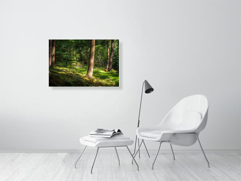 Gate to nowhere in deep forests of Peak District National Park on a sunny day. Print or framed art photography.