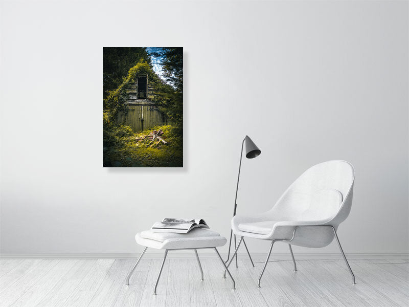Abandon, overgrown barn in a forest. Print or framed photography art.
