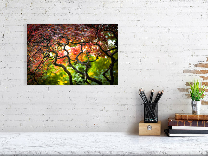 Colours of nature in early autumn. Printed of framed photography art.