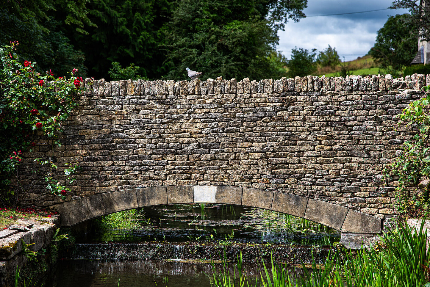 Old bridge with a pigeon on it, Northleach, Cheltenham, Cotswold, UK. Print of framed photography art, wall decor.