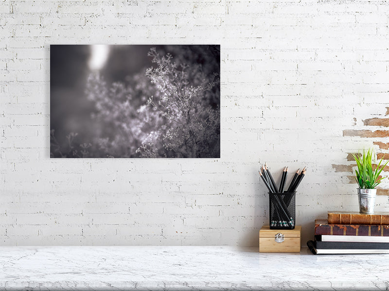 First frost on early winter on a farm. Print or framed photography art.