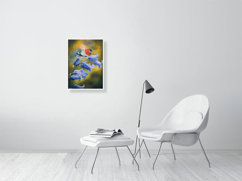 Butterfly resting on a bluebell in early spring, West Sussex, England. Print or framed photography art.