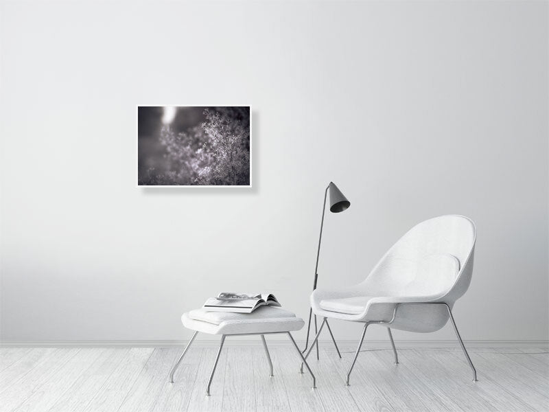 First frost on early winter on a farm. Print or framed photography art.