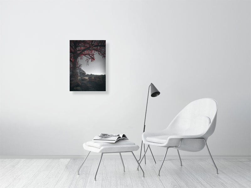 Red leaves falling off the tree on a first frost bite on a farm. Print or framed photography art.