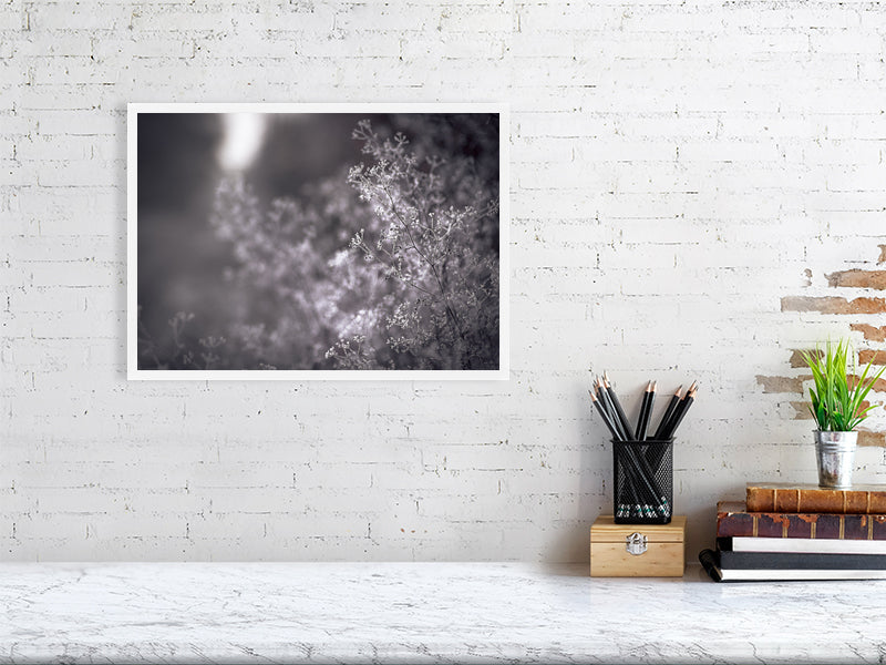 First frost on early winter on a farm. Print or framed photography art.