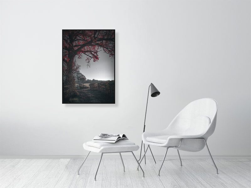 Red leaves falling off the tree on a first frost bite on a farm. Print or framed photography art.