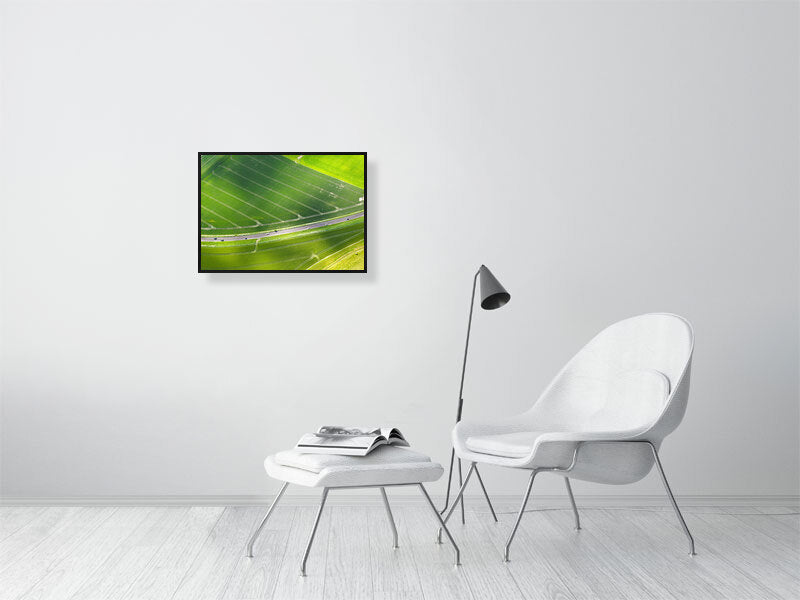 Green farm fields on a sunny day in early summer. Print or framed art photography.
