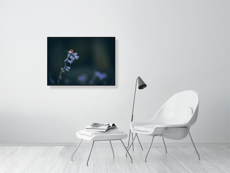 Bluebell with butterfly companion. Framed print photography art.