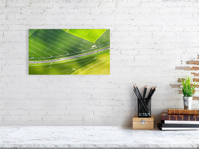Green farm fields on a sunny day in early summer. Print or framed art photography.
