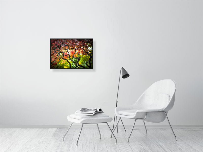 Colours of nature in early autumn. Printed of framed photography art.