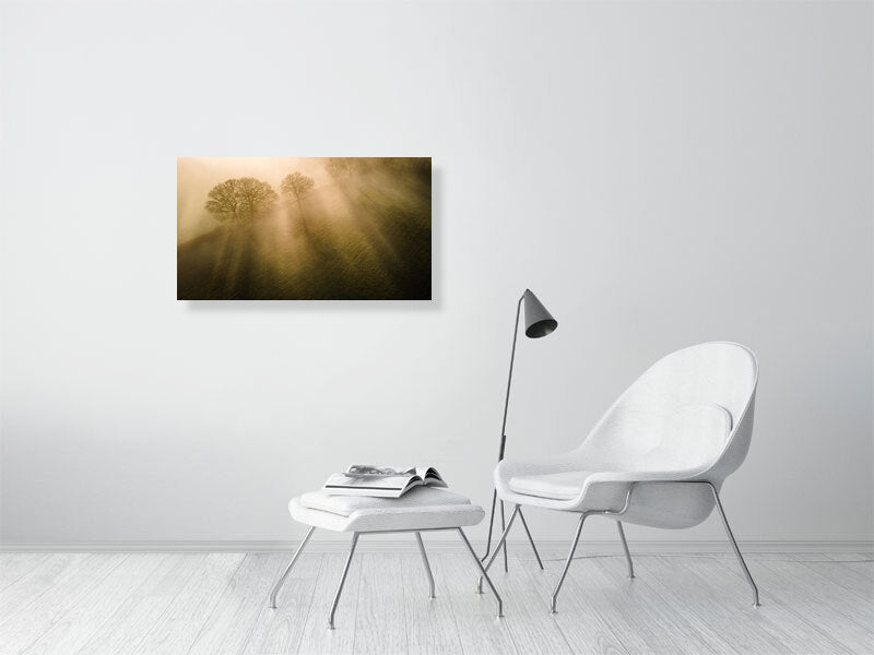 Sun beams through the morning mist in spring on a farm. Print or framed photography art.