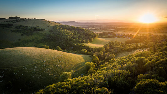 Devils Dyke in a golden hour on a warm summer evening, Brighton, UK. Print or framed photography art.