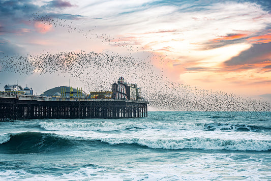Starling murmuration over Brighton Pier on a windy evening. Print or framed photography art.