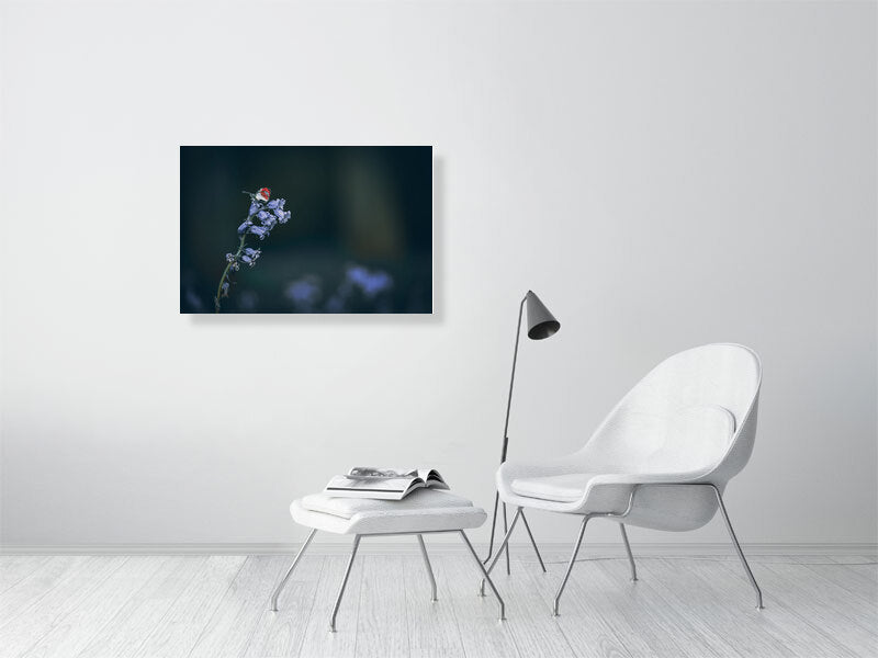 Bluebell with butterfly companion. Print photography art.