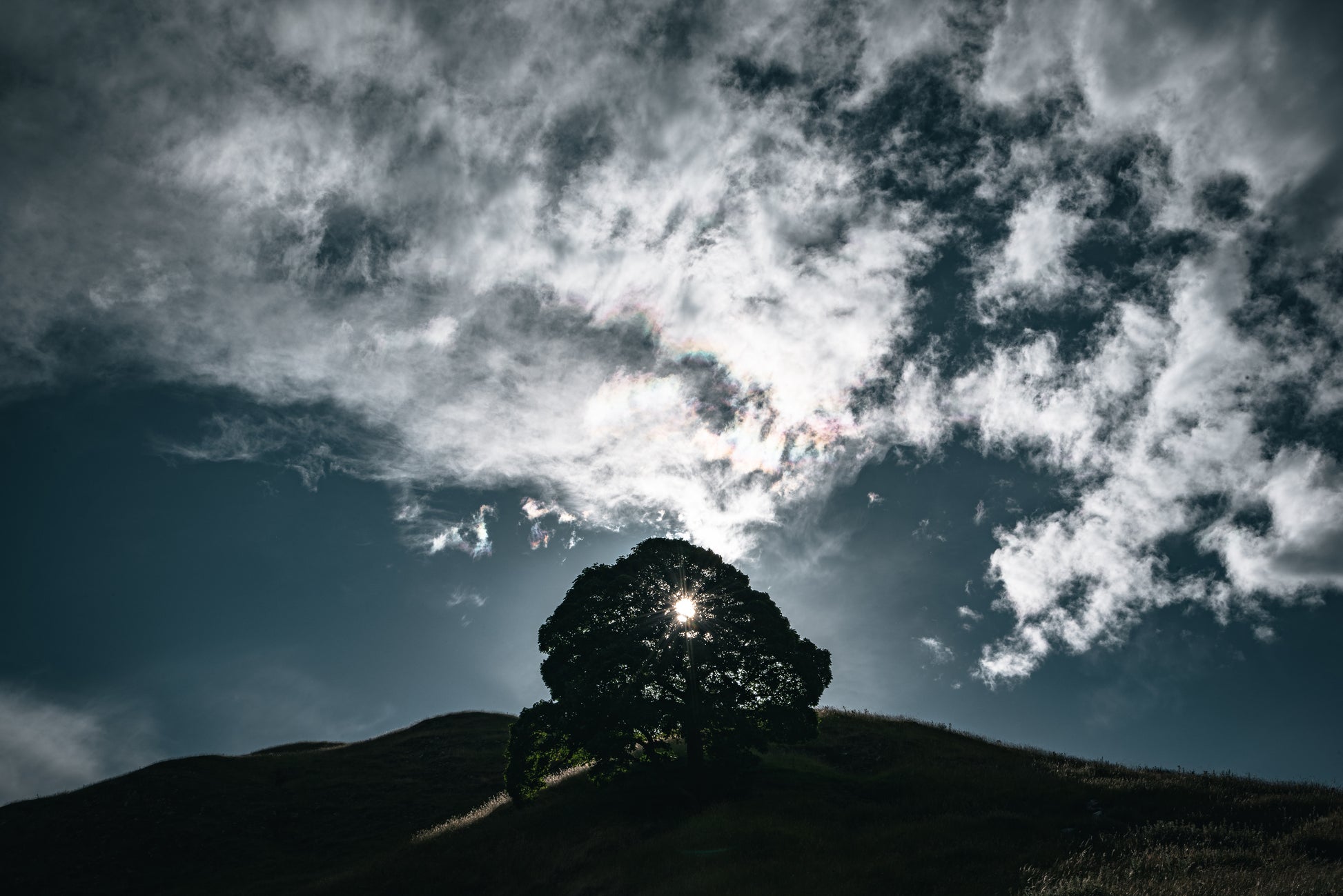 Sunset through the tree on a hills at Winnats Pass, Hope Woodlands, Yorkshire. Photo print, unframed, photography art.