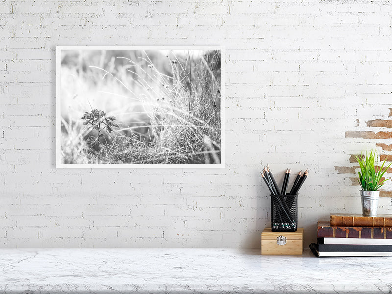 Last leaves frozen on cold morning in a late autumn. Print or framed art photography.